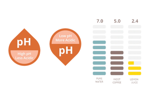 Medium & Bold Roast Combo Pack - 48 Count Low-Acid Coffee